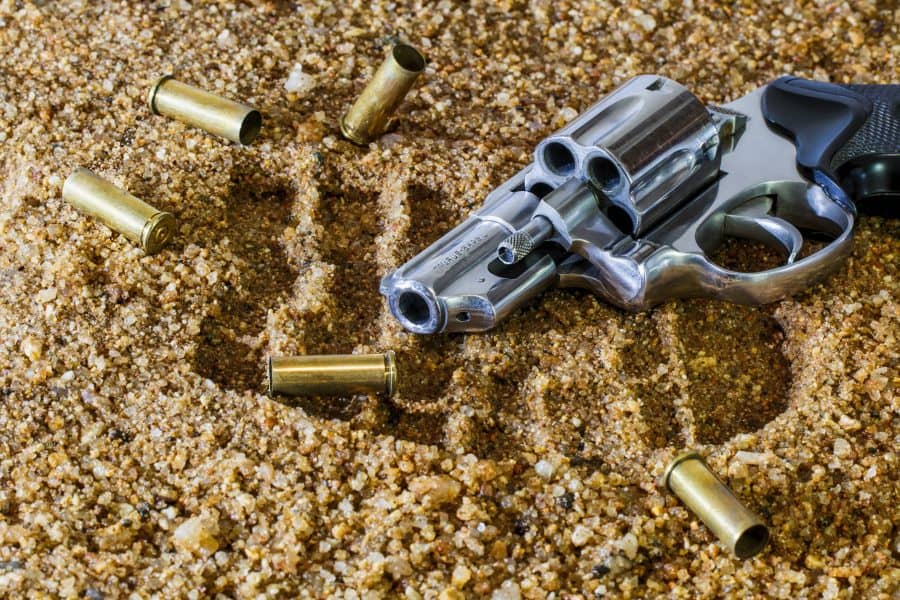 Best Prepper Guns