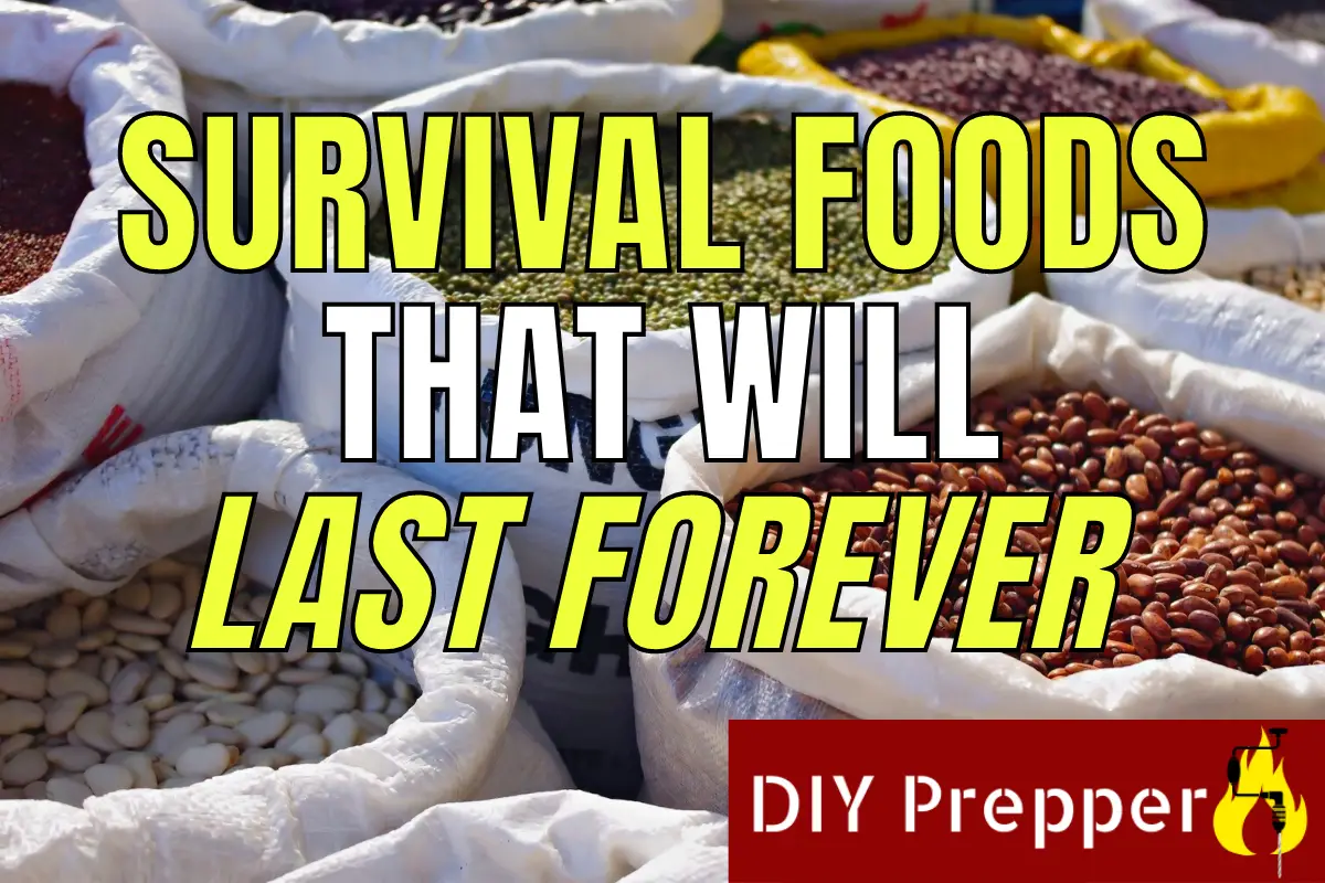 Survival Foods That Will Last Forever