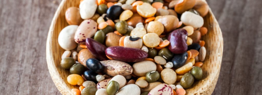 Beans survival food